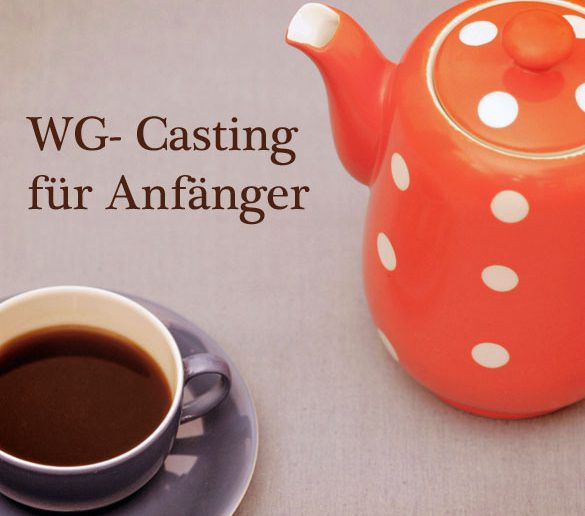 wg-casting-fuer-anfaenger